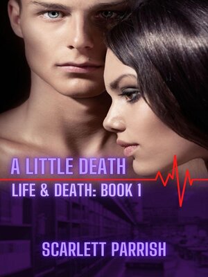 cover image of A Little Death